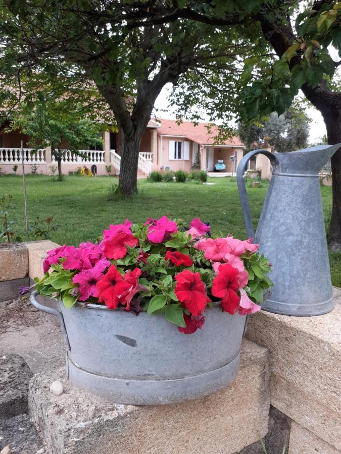 B&B Gite D'Ayran Saint-Quentin-la-Poterie Ngoại thất bức ảnh
